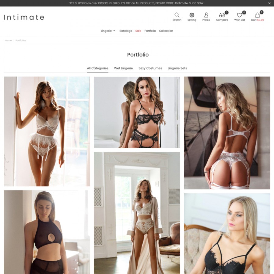 Intimate - Fashion Lingeria & Swimsuits, SexToys Store Template