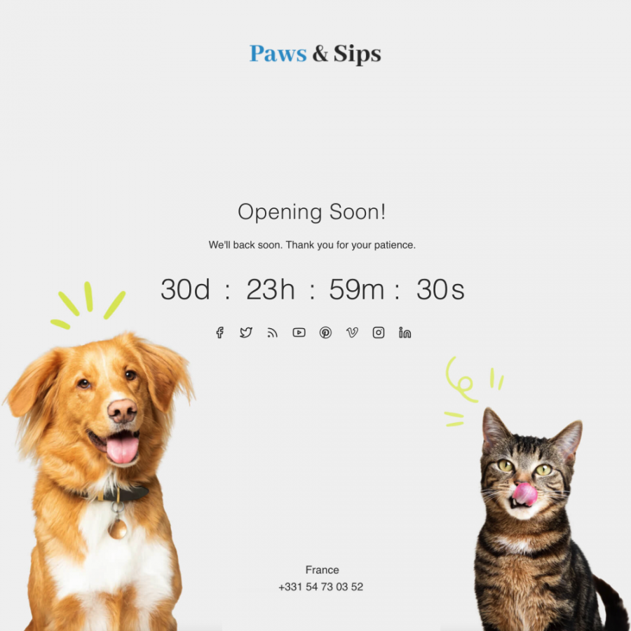 Paws Sips - Animals and Pats Care, Toys, Zoo Grooming Prestashop Theme